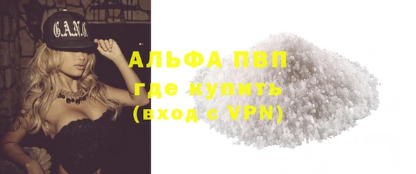 стаф Надым